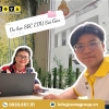 Hoạt động SOTA