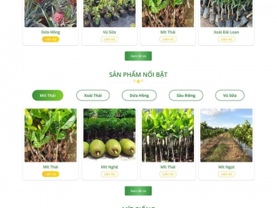  THIẾT KẾ WEBSITE THỰC PHẨM