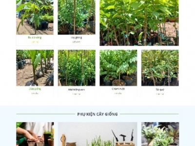  THIẾT KẾ WEBSITE CÂY CẢNH