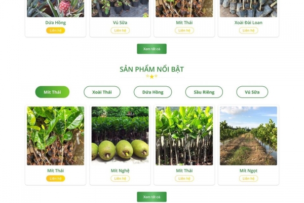 Thiết kế web cây cảnh 